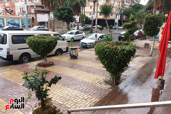 178345-هطول-أمطار-خفيفة-ومتوسطة-شرق-الاسكندرية--(1)