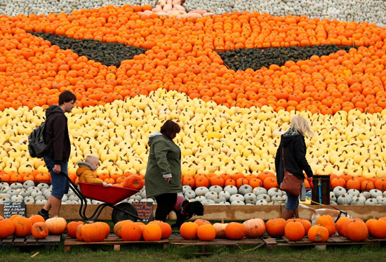 2020-10-24T110921Z_1917139139_RC2ZOJ9Z7C3V_RTRMADP_3_BRITAIN-PUMPKINS