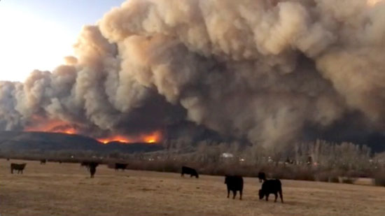الدخان يتصاعد جراء حرائق الغابات