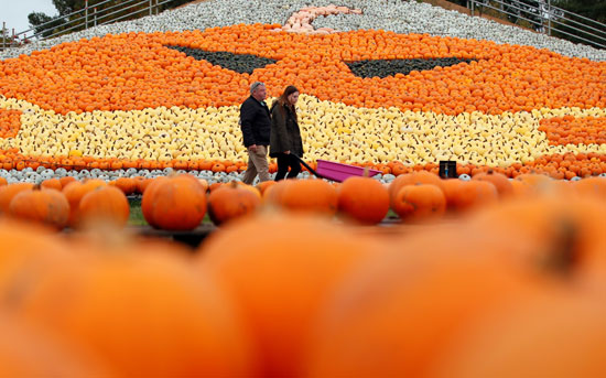 2020-10-24T105744Z_1334863459_RC2YOJ9GPNNH_RTRMADP_3_BRITAIN-PUMPKINS