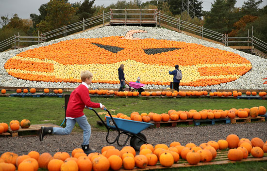 2020-10-24T105746Z_920548897_RC2YOJ9E8MO2_RTRMADP_3_BRITAIN-PUMPKINS