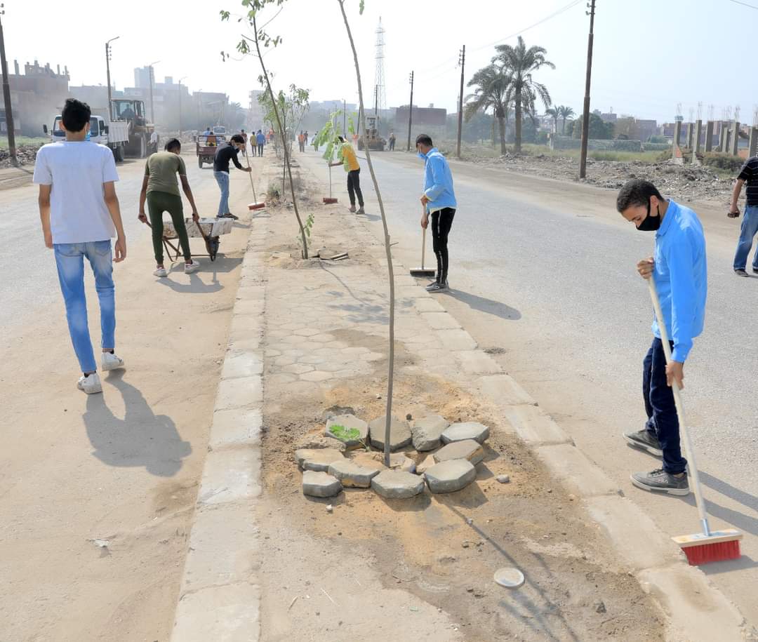 مبادرة بنى سويف جميلة بشبابها لتنظيف الشوارع وطلاء الارصفة (10)
