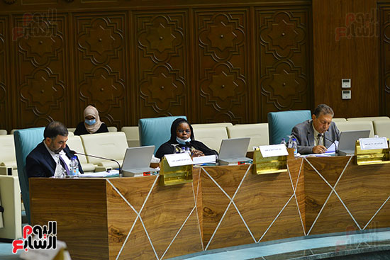 البرلمان العربى (14)