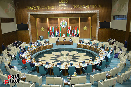 البرلمان العربى (16)