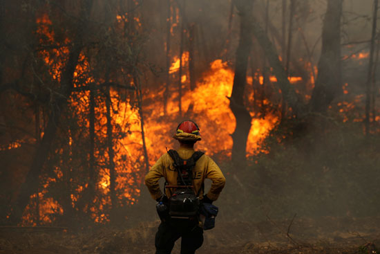 احتدام حرائق الغابات فى ولاية كاليفورنيا (1)