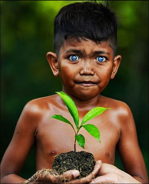 قبيلة فى أندونيسيا بعيون زرقاء  (2)