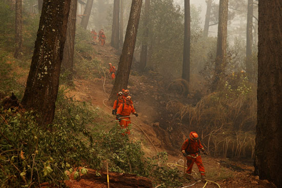 احتدام حرائق الغابات فى ولاية كاليفورنيا (2)