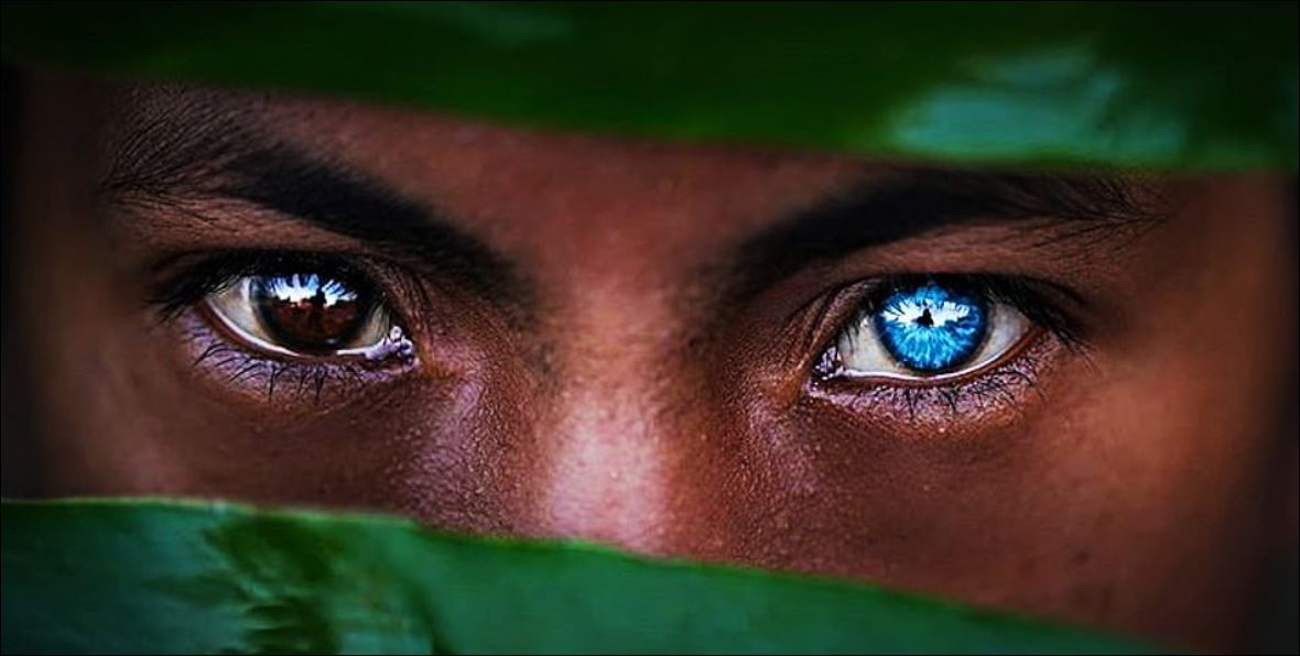 Fisi në Indonezi me sy blu (4)