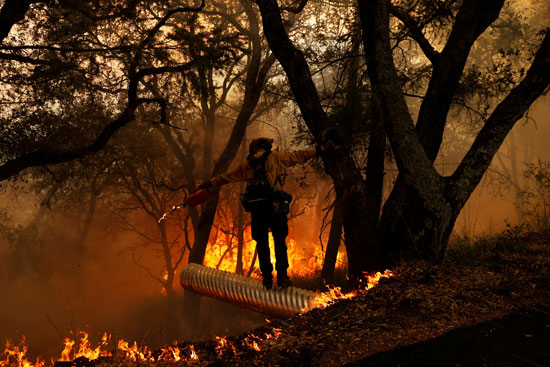 احتدام حرائق الغابات فى ولاية كاليفورنيا (3)