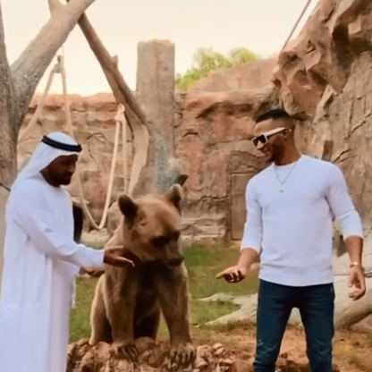 محمد رمضان مع الدب