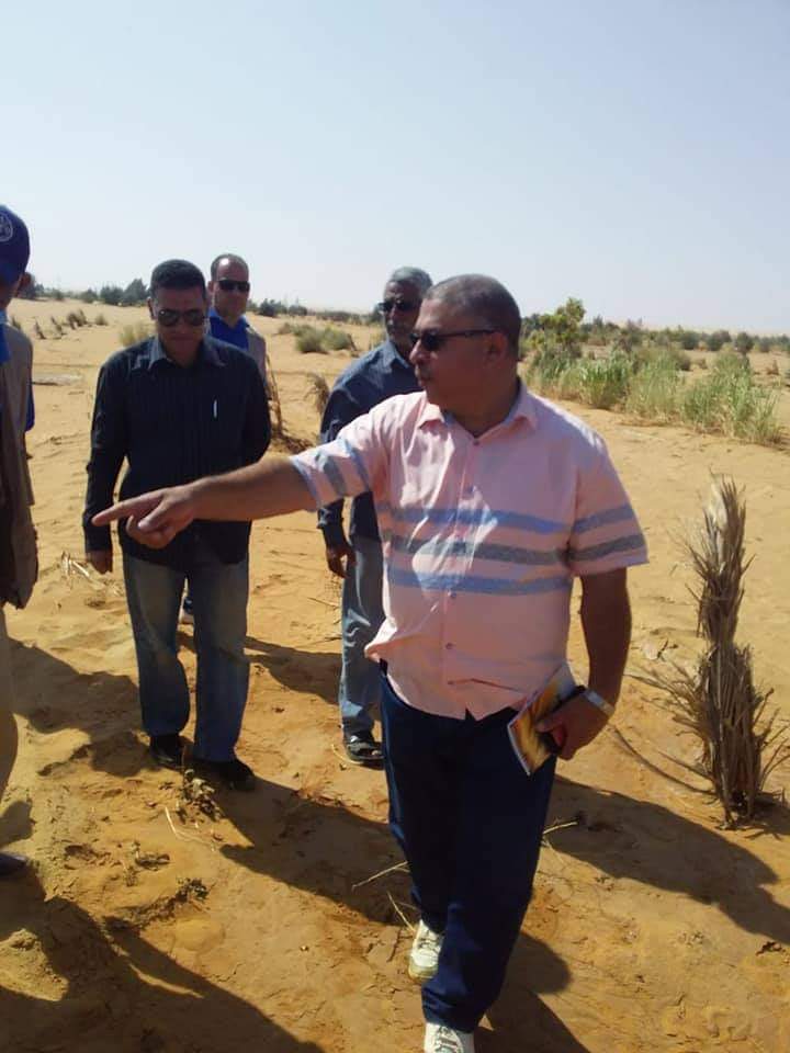منظمة الفاو تنفذ مشروعات علاج التصحر والجفاف في الوادي الجديد  (4)