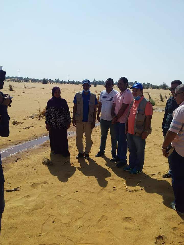 منظمة الفاو تنفذ مشروعات علاج التصحر والجفاف في الوادي الجديد  (1)