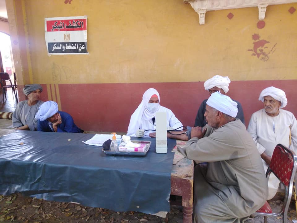 توقيع الكشف المجاني على 3381  مواطن خلال القوافل الطبية بادفو و كوم امبو  (3)