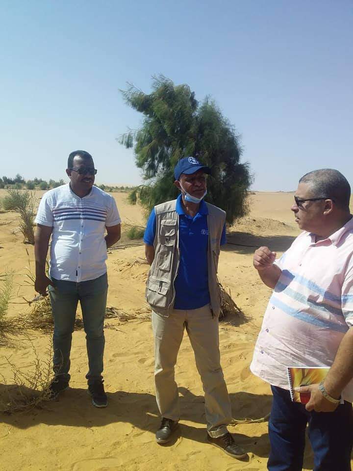 منظمة الفاو تنفذ مشروعات علاج التصحر والجفاف في الوادي الجديد  (3)