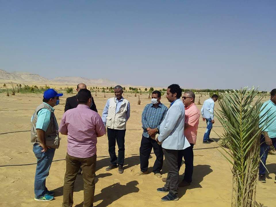 منظمة الفاو تنفذ مشروعات علاج التصحر والجفاف في الوادي الجديد  (2)