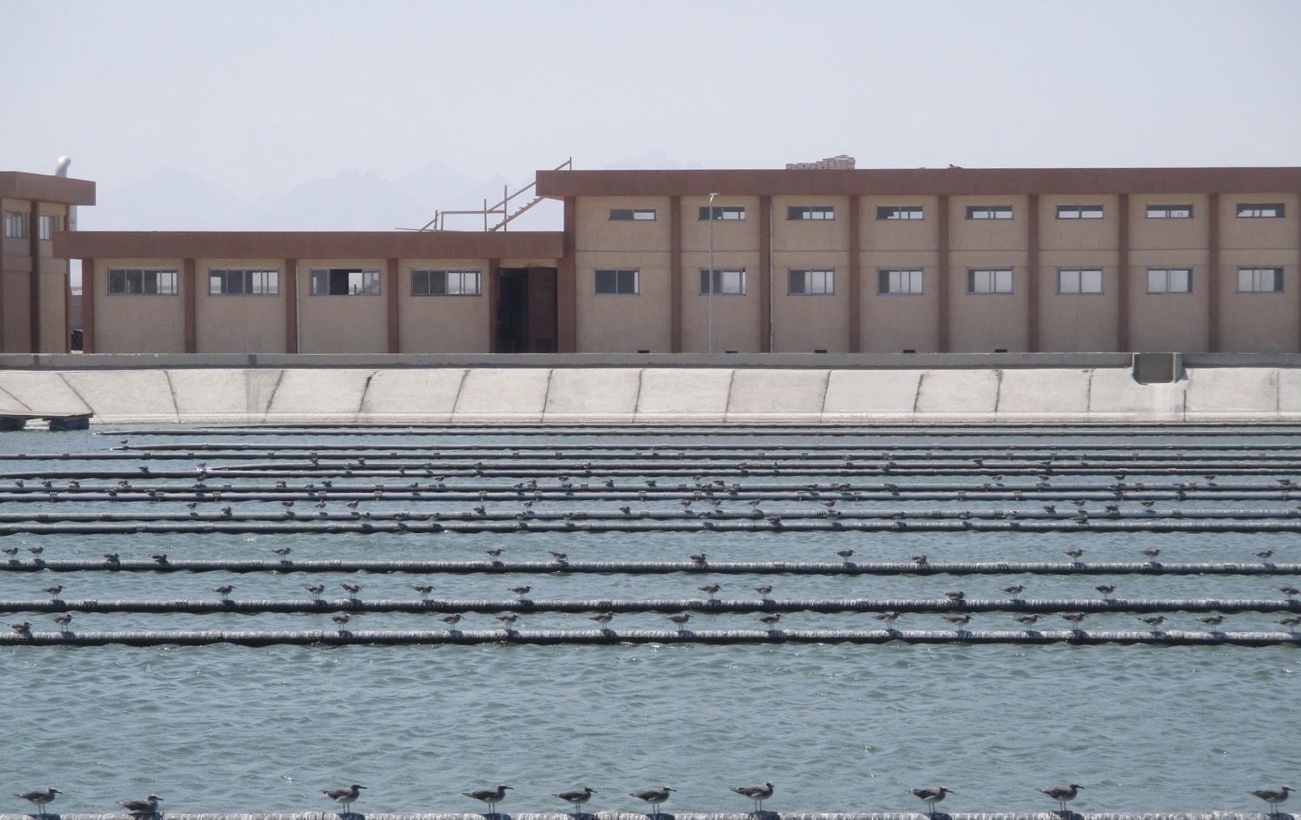 إنشاء أكبر محطة معالجة ثلاثية لمعالجة مياه الصرف بالبحر الأحمر  (2)