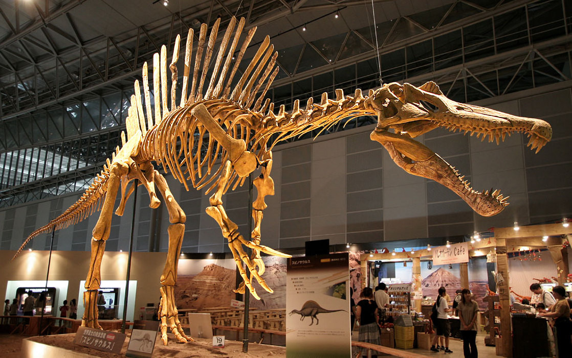 Spinosaurus_skeleton