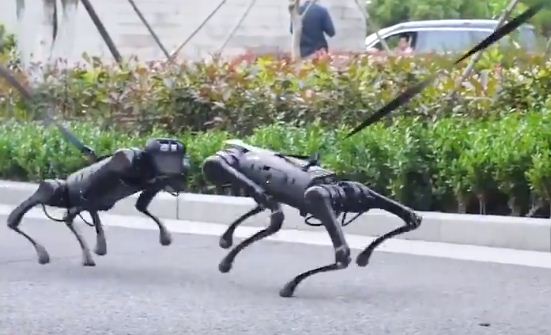 روبوتات كلاب فى كندا