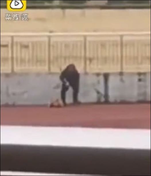 عاملان يضربان كلبا حتى الموت فى الصين  (1)