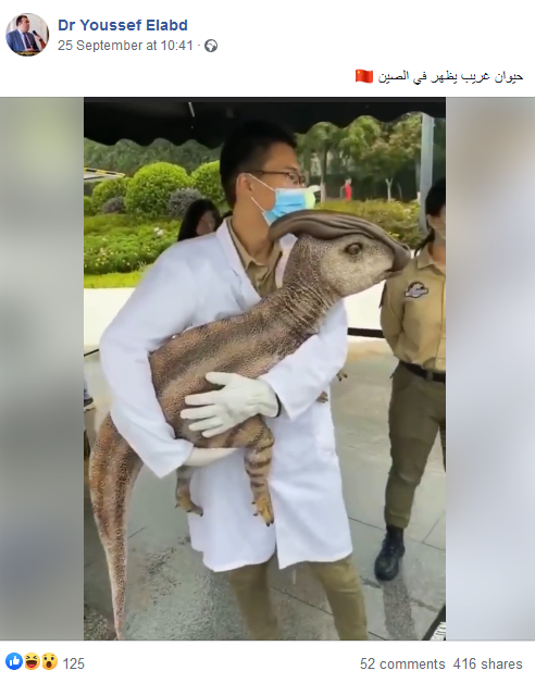 حيوان غريب يظهر فى الصين