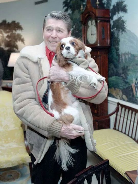 رونالد ريجان كان عاشقًا لتربية الكلاب والقطط والأسماك