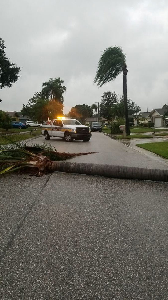 أضرار مادية جراء عاصفة إيتا فى ولاية فلوريدا الأمريكية (3)