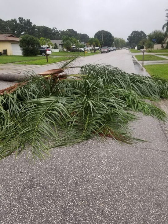 أضرار مادية جراء عاصفة إيتا فى ولاية فلوريدا الأمريكية (2)
