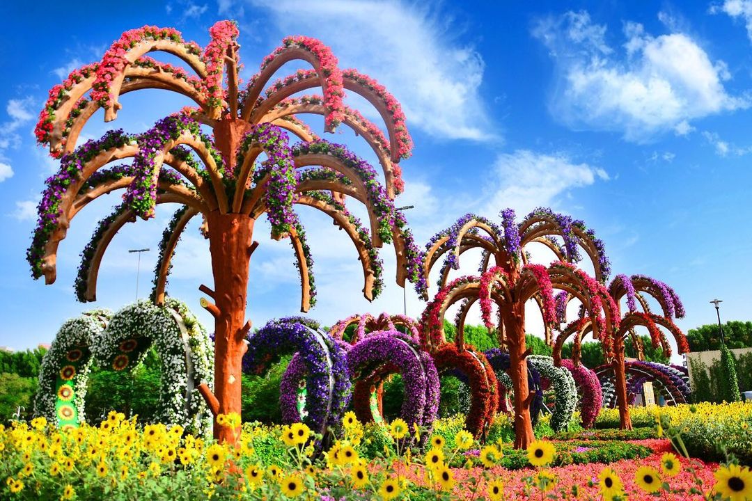 dubaimiraclegarden_70801194_161949888328878_1288770056013900219_n