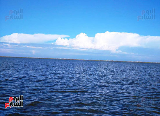تطوير-بحيرة-البرلس-ثانى-أكبر-البحيرات-الطبيعية-فى-مصر-(7)