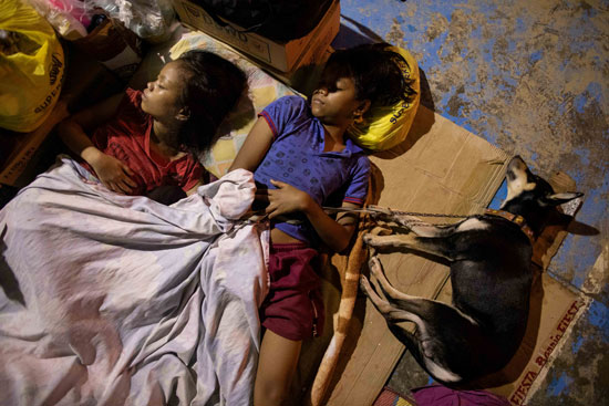 أطفال ينامون بجانب كلب في مركز الإجلاء