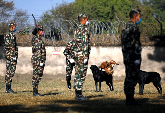 تكريم الكلاب البوليسية فى نيبال