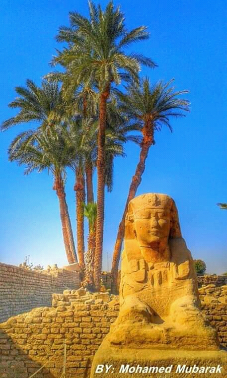 صورا فوتوغرافية لعدد من آثار مصر السياحة الداخلية (7)