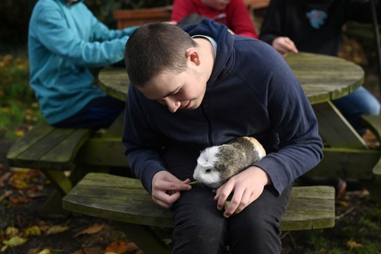 طفل يداعب حيوانه المفضل في الريف البريطاني