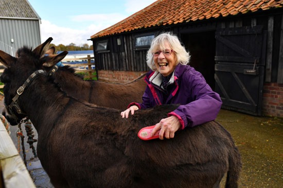 امرأة بريطانية تستمتع بالتواصل مع الحيوانات خلال زيارة المزرعة