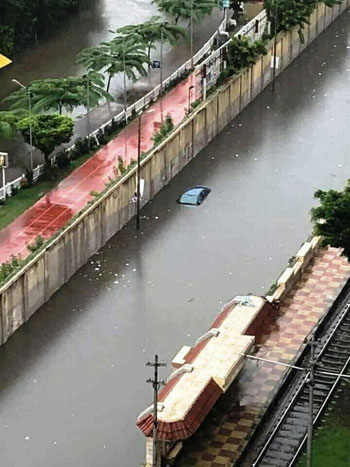 شوارع الإسكندرية تغرق (20)