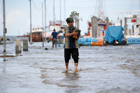 رجل يحمل نبتته التي أنقذها من فيضان ميناء كالي آدم