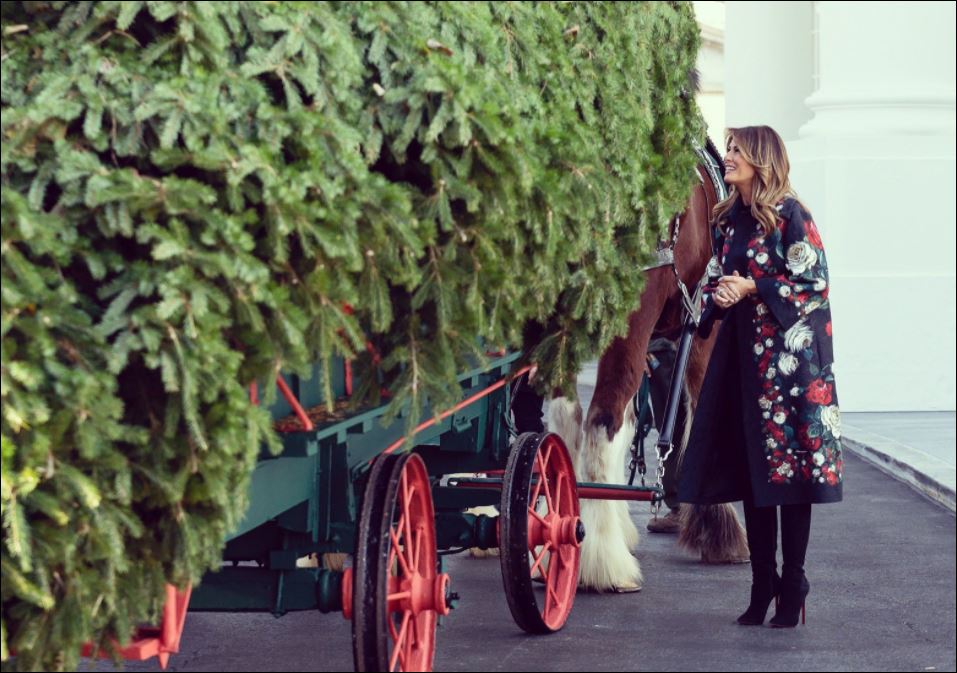 ميلانيا ترامب تستقبل أخر شجرة كريسماس في عهد الرئيس الأمريكى (4)