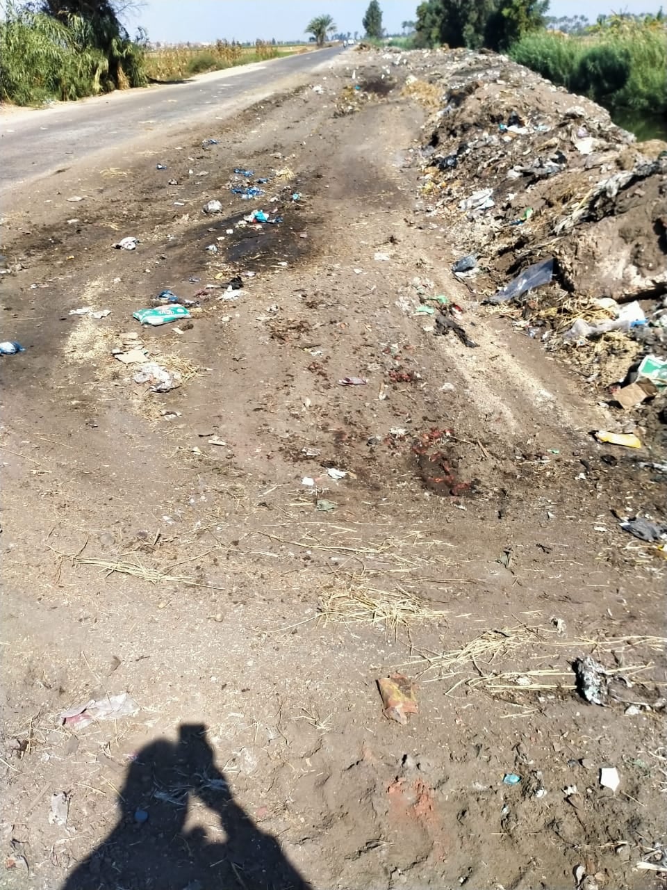 حملة نظافة بقرية كتامة