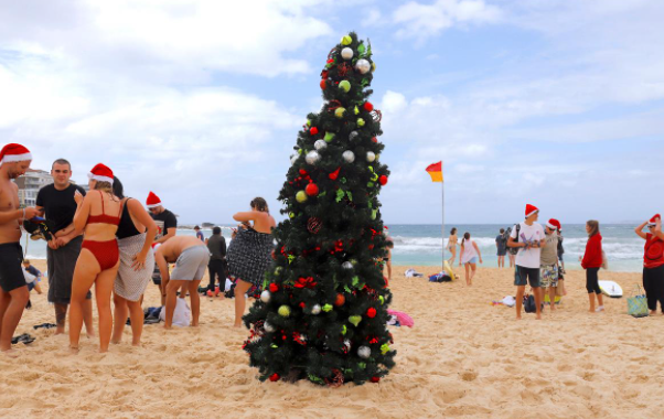 شجرة عيد الميلاد على شواطئ استراليا