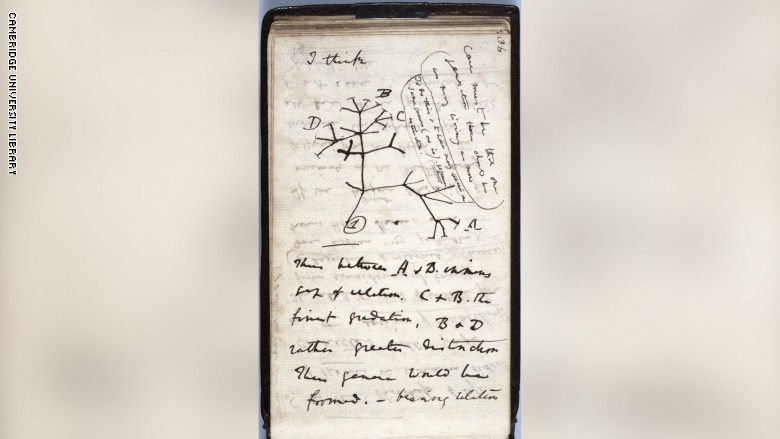 201124045954-restricted-03-charles-darwin-notepads-intl-scli_0