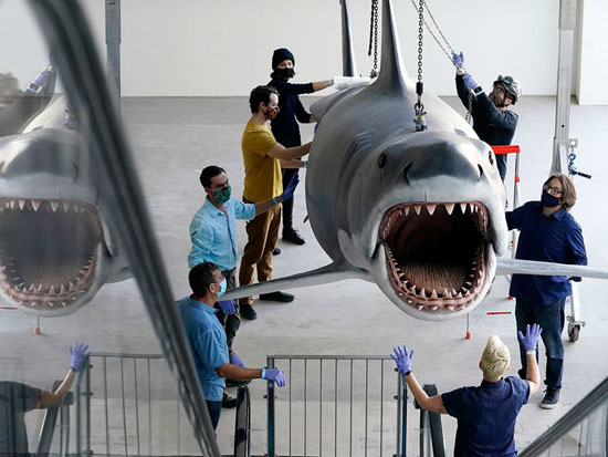 القرش أكبر كائن في مجموعة متحف الأكاديمية القادم للصور المتحركة