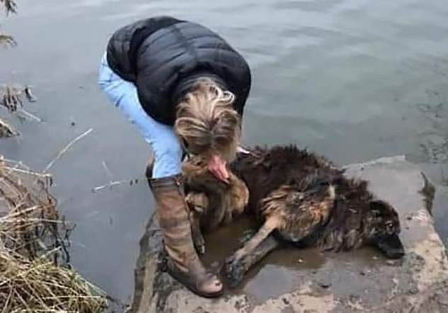 امرأة تقفز في نهر متجمد لإنقاذ كلب بالمملكة المتحدة (3)