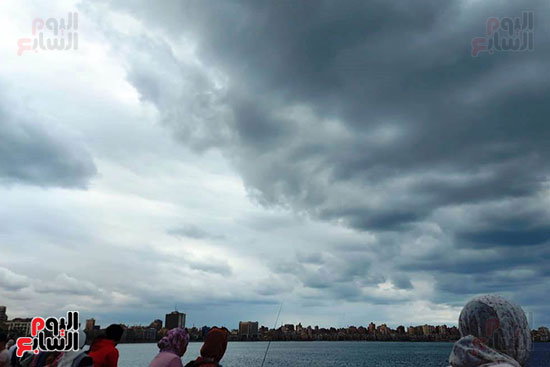هطول أمطار خفيفة وسحب داكنة في سماء الإسكندرية (4)