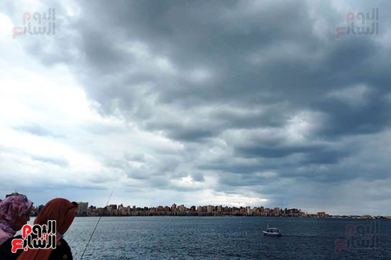 هطول أمطار خفيفة وسحب داكنة في سماء الإسكندرية (6)