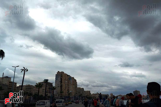هطول أمطار خفيفة وسحب داكنة في سماء الإسكندرية (1)