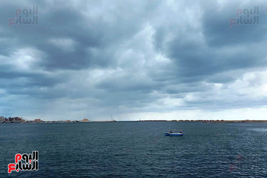 هطول أمطار خفيفة وسحب داكنة في سماء الإسكندرية (11)