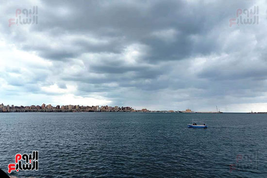 هطول أمطار خفيفة وسحب داكنة في سماء الإسكندرية (10)