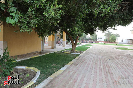 مستشفى الصحة النفسيه بسوهاج (11)