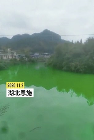 نهر يتحول إلى اللون الأخضر في الصين (3)