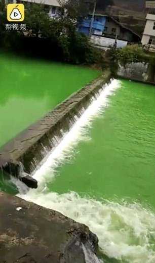 نهر يتحول إلى اللون الأخضر في الصين (1)